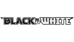 Pokemon - BW - Base Set
