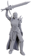 D&D UNPAINTED MINIS WV25 BLACKGUARD