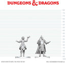 DND UNPAINTED MINIS WV29 KNIGHT & MAGE APPRENTICE