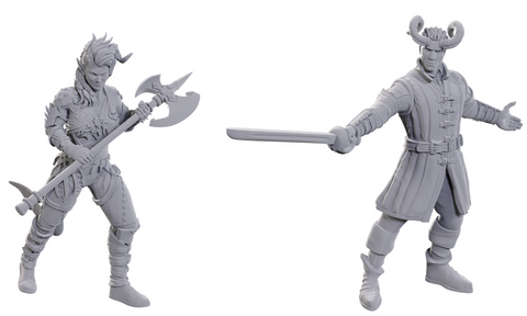 DND UNPAINTED MINIS SPECIAL EDITION BALDUR'S GATE 3 - WYLL & KARLACH