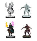 CR UNPAINTED MINIS WV1 HOLLOW ONE ROGUE/SRCR MALE