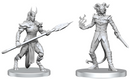 PF UNPAINTED MINIS WV27 VORDINE (INFANTRY DEVIL) & PITBORN ROGUE