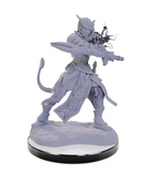 D&D Unpainted Minis WV22 Tiefling Warlocks