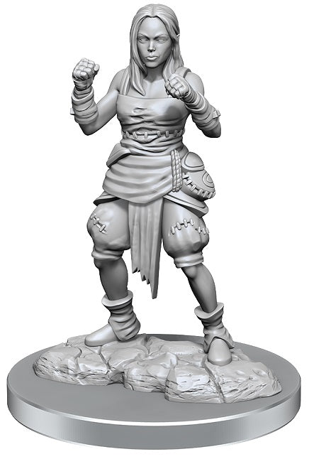 PF Unpainted Minis WV21 Half-Elf Monk Female