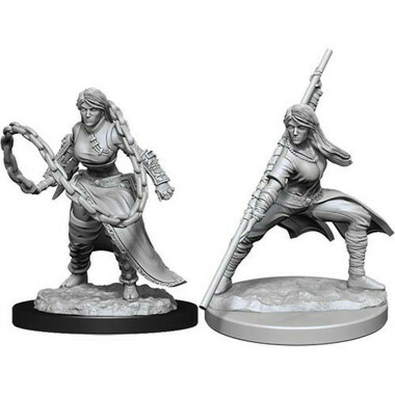 D&D Unpainted Minis WV14 Human Monk Female