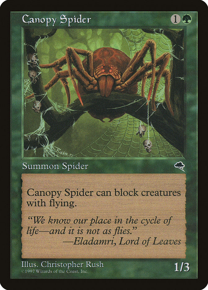 Canopy Spider [Tempest]
