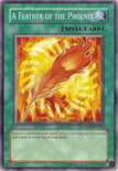 Champion Packs (1-8)