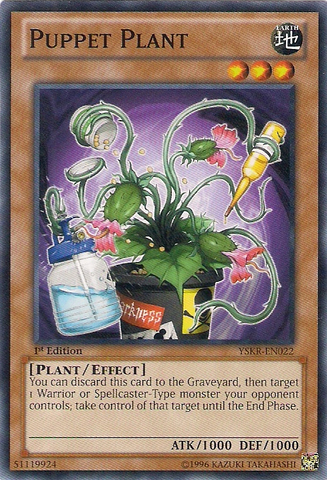 Puppet Plant [YSKR-EN022] Common