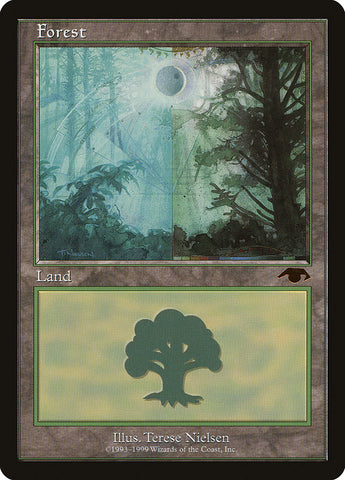 Forest [Guru]