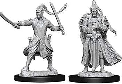 D&D Unpainted Minis WV9 Male Elf Paladin