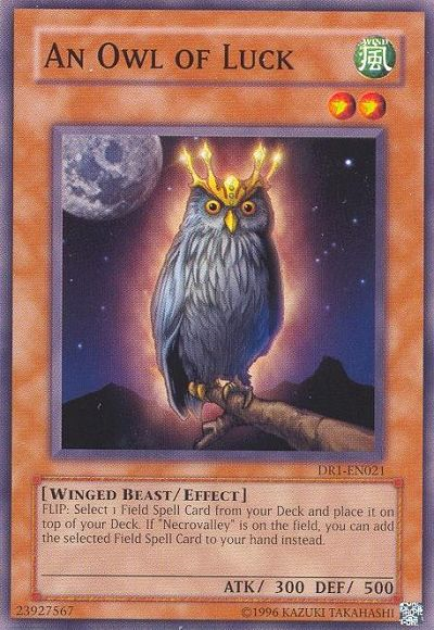 An Owl of Luck [DR1-EN021] Common