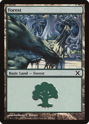 Forest (380) [Tenth Edition]