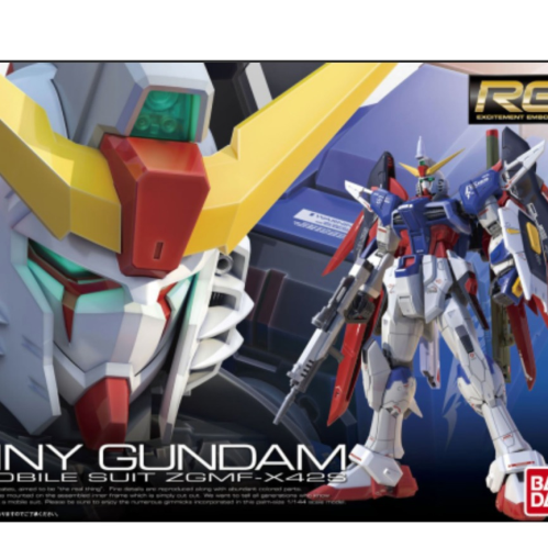 RG 1/144