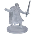 Invisible Human Cleric