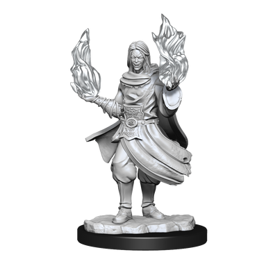CR Unpainted Minis WV1 Hollow One Rogue/Sorcerer Male