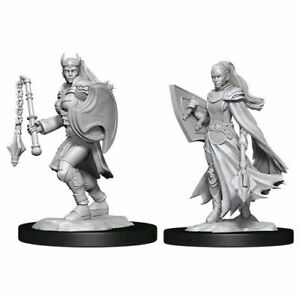 D&D Unpainted Minis WV14 Kalashtar Cleric Female