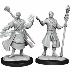 D&D Unpainted Minis WV14 Half-Elf Wizard Male