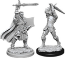 D&D Unpainted Minis WV12 Male Human Paladin
