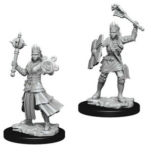 D&D Unpainted Minis WV8 Female Human Cleric