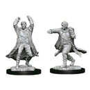 D&D Unpainted Minis WV12 Revenant