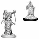 D&D Unpainted Minis WV6 Green Hag/Night Hag