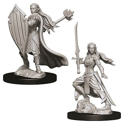 D&D Unpainted Minis WV9 Female Elf Paladin