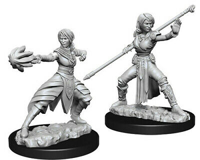 D&D Unpainted Minis WV10 Female Half-Elf Monk