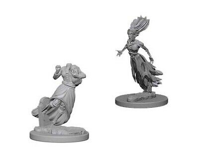 D&D Unpainted Minis WV1 Ghost & Banshee