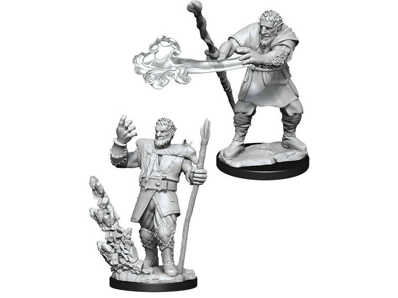 D&D Unpainted Minis WV11 Male Firbolg Druid