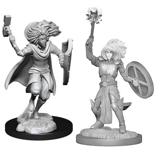 D&D Unpainted Minis WV14 Changeling Cleric Male