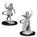 D&D Unpainted Minis WV15 Tiefling Sorcerer Female